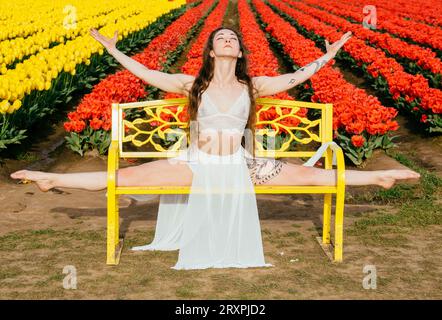 Bruna a pelo lungo che si divide sulla panca di fronte al campo di tulipano Foto Stock