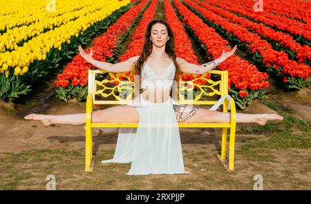 Bruna a pelo lungo che si divide sulla panca di fronte al campo di tulipano Foto Stock