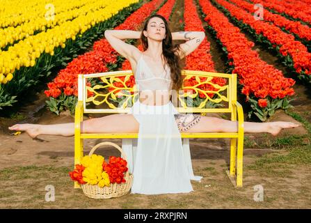 Bruna a pelo lungo che si divide sulla panca di fronte al campo di tulipano Foto Stock