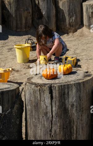 Ward's Berry Farm è una destinazione divertente per famiglie nei mesi autunnali del 2023, Sharon, Massachusetts, Stati Uniti Foto Stock