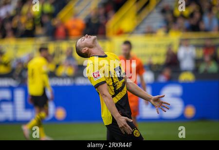 Dortmund, Germania. 23 settembre 2023. Julian Ryerson (BVB) Borussia Dortmund - VfL Wolfsburg 23.09.2023 Copyright (nur für journalistische Zwecke) di Foto Stock