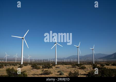 Alcune delle oltre 1200 turbine eoliche commerciali della San Gorgonio Pass Wind Farm, che alimentano energia elettrica a Palm Springs e Los Angeles, California Foto Stock