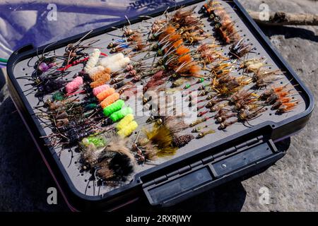 Mosche per la pesca con la mosca in una scatola protettiva Foto Stock