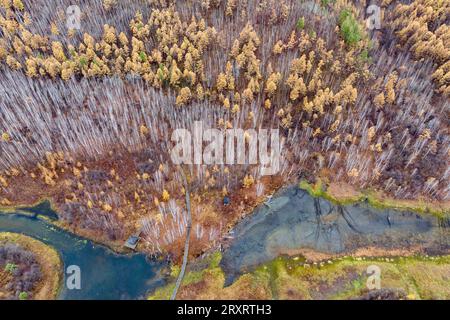 GREAT KHINGAN, CINA - 26 SETTEMBRE 2023 - paesaggi autunnali di montagne, foreste e laghi si possono ammirare nel villaggio Beiji, contea di Mohe, grande Khingan Moun Foto Stock