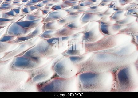 Neve rosa del ghiacciaio IGAN. Urali polari, Russia Foto Stock