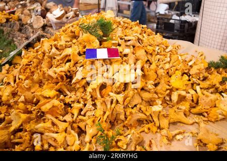 Chanterelle francesi su un mercato in autunno Foto Stock