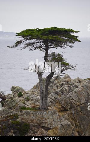 Pacific Coast Highway Foto Stock