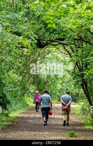 persone che fanno una passeggiata nella campagna lungo un sentiero alberato attraverso una foresta o un bosco Foto Stock