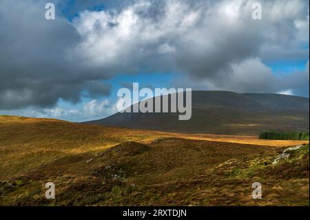 Cairnsmore di Fleet visto dalle Clints di Dromore, Dumfries e Galloway, Scozia Foto Stock