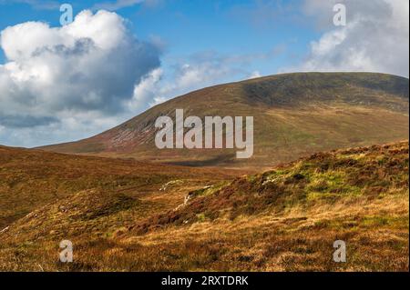 Cairnsmore di Fleet visto dalle Clints di Dromore, Dumfries e Galloway, Scozia Foto Stock