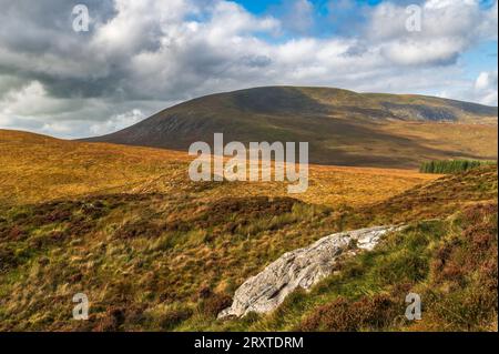 Cairnsmore di Fleet visto dalle Clints di Dromore, Dumfries e Galloway, Scozia Foto Stock