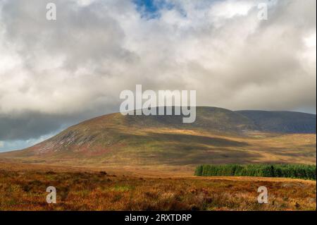 Cairnsmore di Fleet visto dalle Clints di Dromore, Dumfries e Galloway, Scozia Foto Stock