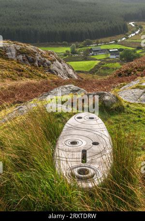 Una delle Rosnes Benches, una scultura trovata in varie località a Galloway, in Scozia Foto Stock