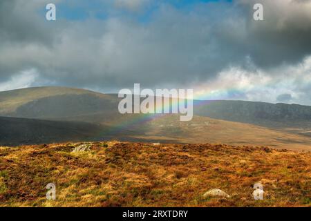Arcobaleno sopra Cairnsmore di Fleet, Dumfries e Galloway, Scozia. Foto Stock