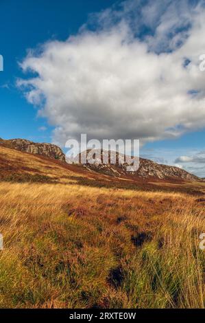 Le Clints of Dromore nel Cairnsmore della Fleet National Nature Reserve Galloway, Scozia Foto Stock