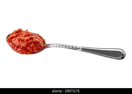 Cucchiaio con salsa di pomodoro isolato su bianco con percorso di ritaglio incluso Foto Stock