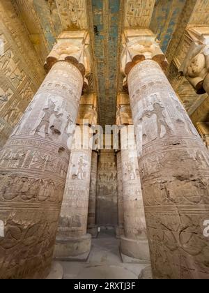 Colonne all'interno della sala ipostila, Tempio di Hathor, complesso del Tempio di Dendera, Dendera, Egitto, nord Africa, Africa Foto Stock