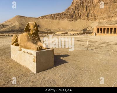 Sfinge alla base del tempio funerario di Hatshepsut a Deir al-Bahri, costruito durante il regno del faraone Hatshepsut, UNESCO, Tebe Foto Stock