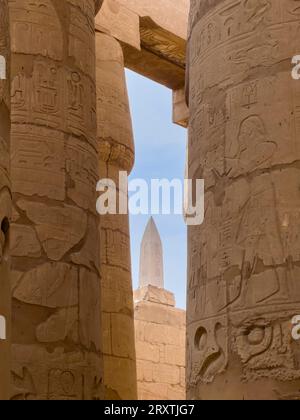 L'obelisco di Hatshepsut, complesso del tempio di Karnak, comprende un vasto mix di templi, piloni e cappelle, patrimonio dell'umanità dell'UNESCO, vicino a Luxor, Tebe Foto Stock