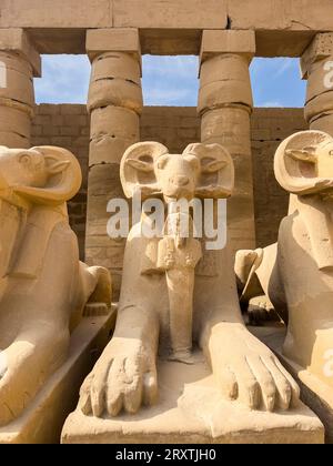 Statue di sfinge a testa di RAM a Karnak, complesso del tempio di Karnak, sito patrimonio dell'umanità dell'UNESCO, vicino a Luxor, Tebe, Egitto, Nord Africa, Africa Foto Stock