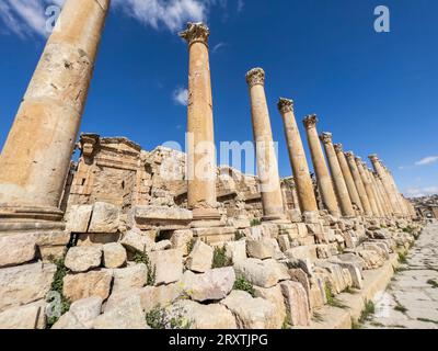 Colonne nell'antica città di Jerash, che si ritiene sia stata fondata nel 331 a.C. da Alessandro Magno, Jerash, Giordania, Medio Oriente Foto Stock