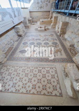 Pavimento a mosaico nel Battistero di Diaconicon di epoca bizantina che si erge sulla cima del Monte Nebo, Giordania, Medio Oriente Foto Stock