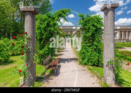 Giardino delle rose a Palazzo Rosenstein, Parco Rosenstein, Stoccarda, Baden-Wurttemberg, Germania, Europa Foto Stock