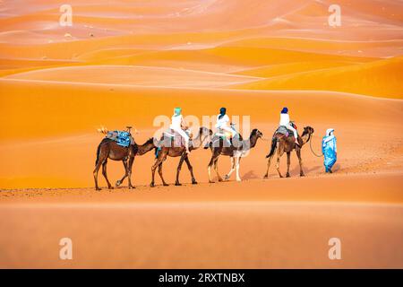 Uomo tuareg che guida un treno di cammelli di turisti sulle dune di sabbia di Erg Chebbi, Merzouga, deserto del Sahara, Marocco, Nord Africa, Africa Foto Stock