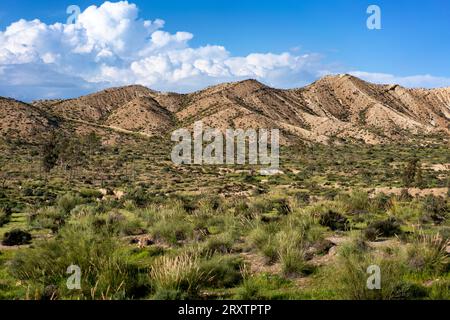 Paesaggio desertico di Tabernas in una giornata di sole, Almeria, Andalusia, Spagna, Europa Foto Stock