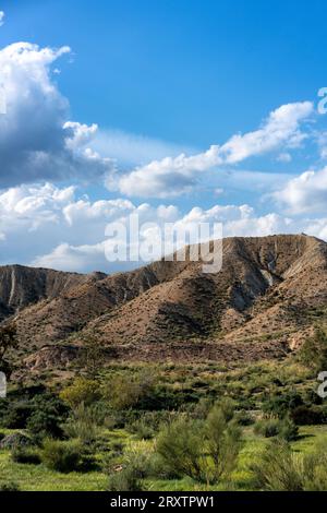 Paesaggio desertico di Tabernas in una giornata di sole, Almeria, Andalusia, Spagna, Europa Foto Stock