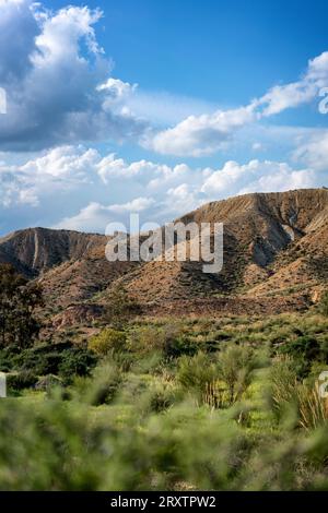 Paesaggio desertico di Tabernas in una giornata di sole, Almeria, Andalusia, Spagna, Europa Foto Stock