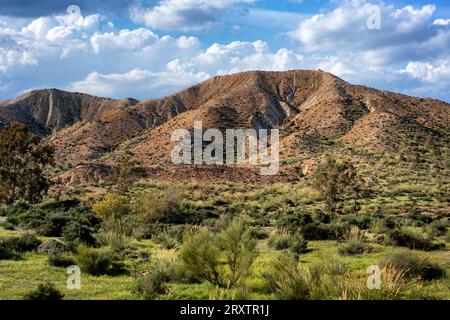 Paesaggio desertico di Tabernas in una giornata di sole, Almeria, Andalusia, Spagna, Europa Foto Stock