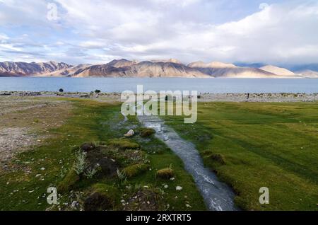 Pangong lake, ladakh, India Foto Stock