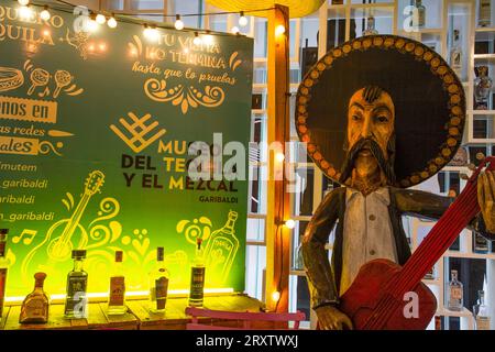 Museo di Tequila e Mezcal, città del Messico, Messico, Nord America Foto Stock