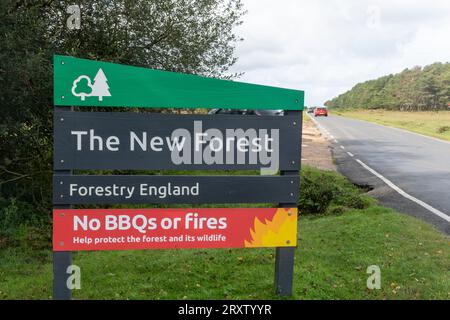 La New Forest, Forestry England è segnalata dalla strada nel parco nazionale, Hampshire, Inghilterra, Regno Unito Foto Stock