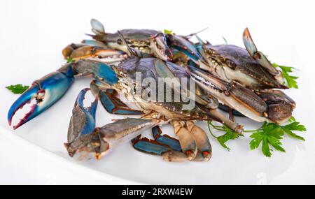 Granchio blu nel piatto, gruppo di granchi blu ingrediente in cucina. Foto Stock