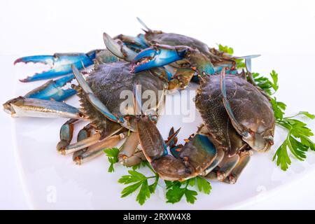 Granchio blu nel piatto, gruppo di granchi blu ingrediente in cucina. Foto Stock