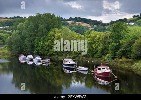 Fila di barche ormeggiate sul fiume Dart con alberi e colline ondulate in una giornata nuvolosa d'estate. Totnes, South Hams, South Devon, Inghilterra, Regno Unito Foto Stock