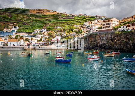Vista panoramica del piccolo villaggio di pescatori di Câmara de Lobos a Madeira, Portogallo, dove i pescherecci dipinti ancorano nella baia di fronte alle scogliere Foto Stock