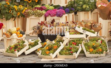 Fiori freschi e ghirlande in mostra presso lo stand dei fioristi presso il mercato agricolo di Praga Foto Stock