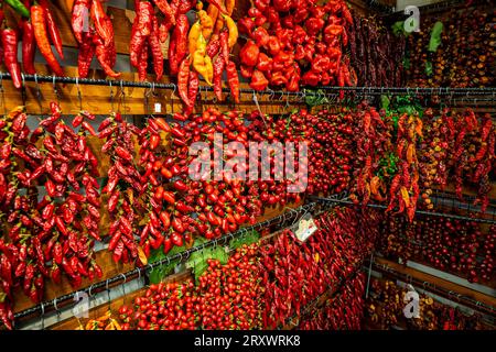Ottima vista di migliaia di peperoncini filettati appesi da un muro al Mercado dos Lavradores (mercato agricolo) a Funchal, Madeira, Portogallo Foto Stock
