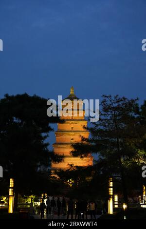 Le luci decorative della Pagoda Gigante dell'Oca selvatica si accendono di sera Foto Stock