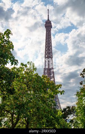 Torre Eiffel, torreggiante sopra gli alberi, Parigi, Francia Foto Stock