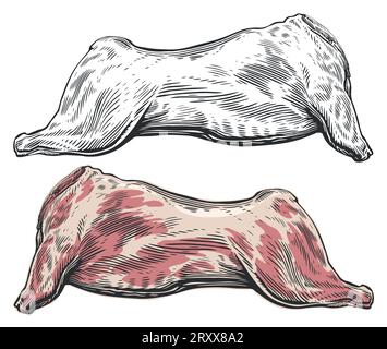 Carcassa di carne cruda intera. Stile di incisione illustrazione vettoriale Illustrazione Vettoriale
