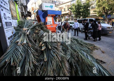 Preparazioni di Sukkot a Gerusalemme un ebreo ultra-ortodosso porta rami di palma da utilizzare come tetto di una casa temporanea chiamata Sukkah, attraverso il quartiere Mea Shearim di Gerusalemme, 27 settembre 2023. Il Sukkah è costruito e vissuto durante la festa ebraica di Sukkot, nota anche come la festa dei Tabernacoli, così chiamato per i rifugi in cui vivevano gli Israeliti mentre vagavano per il deserto per 40 anni. Le vacanze di una settimana iniziano venerdì. Foto di saeed qaq Copyright: XSAEEDxQAQx 513A0745 Foto Stock