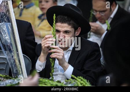 I preparativi di Sukkot a Gerusalemme l'uomo ebreo ortodosso ispeziona un Etrog, o un citrone, utilizzato nei rituali eseguiti durante l'imminente festa ebraica di Sukkot a Gerusalemme il 27 settembre 2023. Il Sukkah è costruito e vissuto durante la festa ebraica di Sukkot, nota anche come la festa dei Tabernacoli, così chiamato per i rifugi in cui vivevano gli Israeliti mentre vagavano per il deserto per 40 anni. Le vacanze di una settimana iniziano venerdì. Foto di saeed qaq Copyright: XSAEEDxQAQx 5T9A9005 Foto Stock