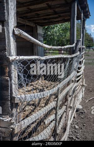 Stalla rustica d'annata nella fattoria degli asini, Zasavica, Serbia Foto Stock