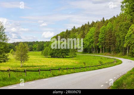 Splendida vista sulla strada asfaltata che corre lungo la foresta e i campi. Svezia. Foto Stock