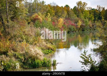 L'allegro scenario di ottobre lungo il Marchfeldkanal a Floridsdorf, Vienna, mette in mostra la vibrante tavolozza di colori della natura e gli sforzi di conservazione. Foto Stock