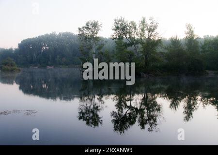 Con l'arrivo dell'autunno, l'atmosfera nebbiosa e malinconica avvolge Dechantlacke nel Lobau di Vienna, creando una scena ultraterrena della fantasia della natura Foto Stock